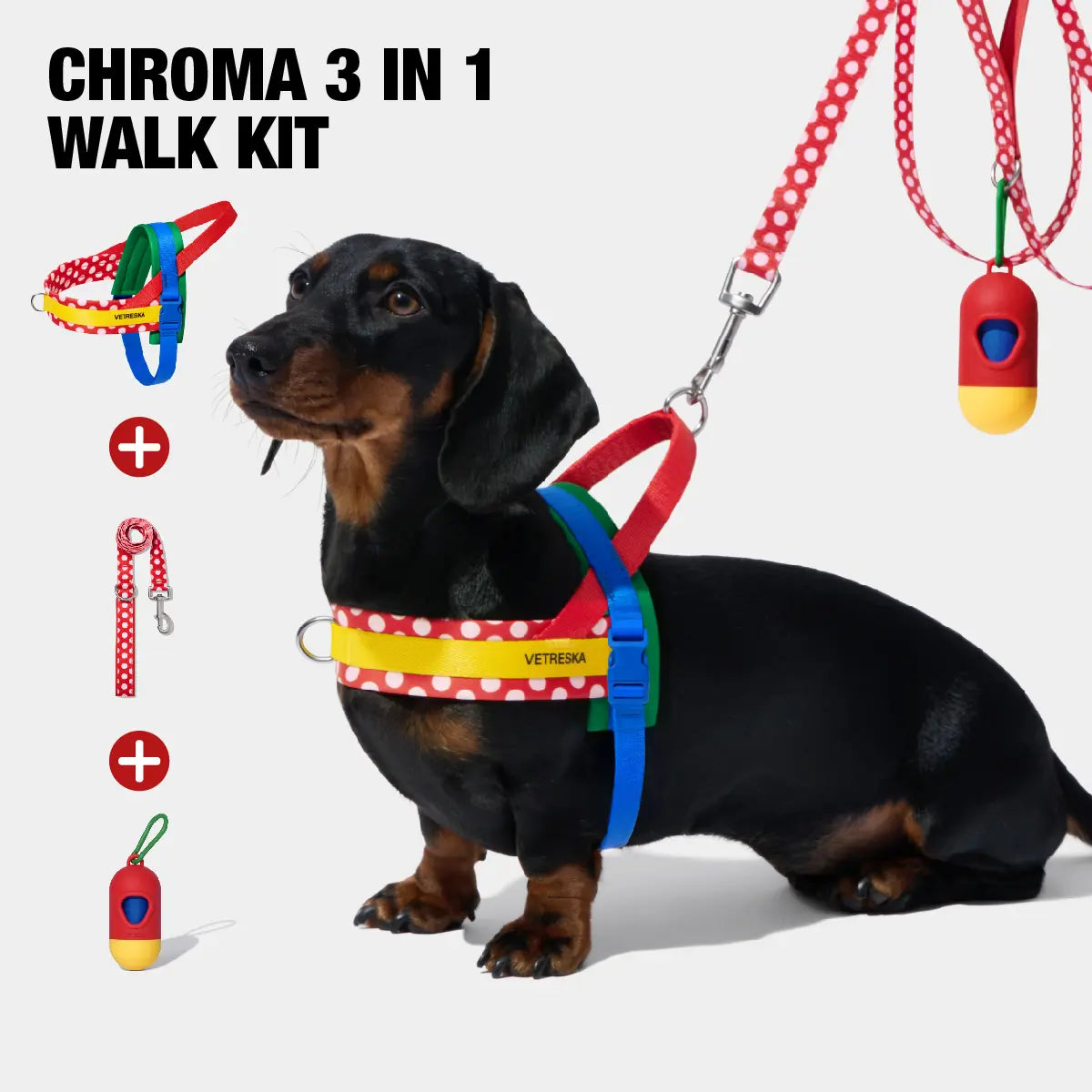 VETRESKA Moma Chroma 3 in 1 Walk Kit, Durable & Lightweight No Pull & No Choking Dog Harness with Easy-On Adjustable Fit, Anti-Twist Pet Lead Combo for Small-Medium Dogs (Collars & Harnesses & Leads)