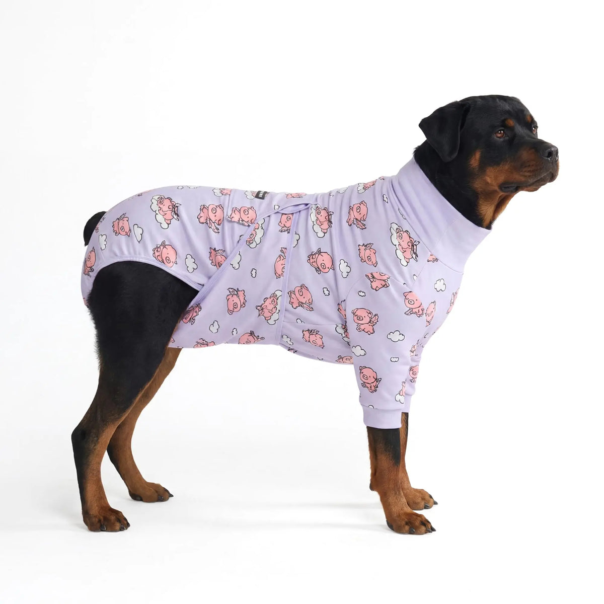 Spark Paws Dog Surgery Recovery Suit - Post-Surgery Recovery Onesie for Dogs, Anti-Lick Abdominal Wound Protector, Soft Cone Alternative for Spay and Neuter Recovery - Donuts - Size S