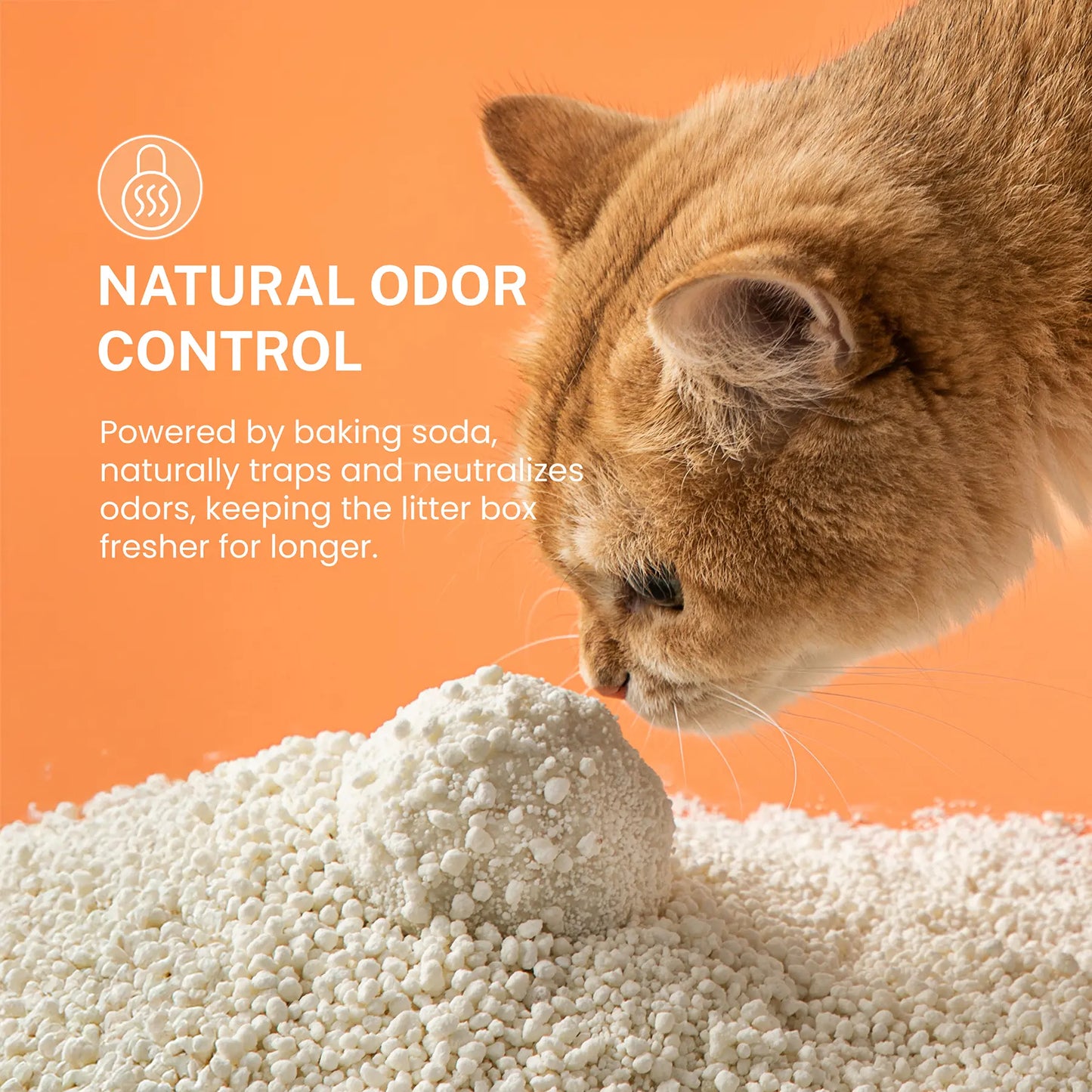 Furphawl – Cassava Cat Litter, Quick Clumping, 100% Natural, Low Dust, Odor Control, Non-Stick Formula, Tapioca Cat Litter, Safe for Kitten & Self Cleaning Cat Litter Box, Baking Soda