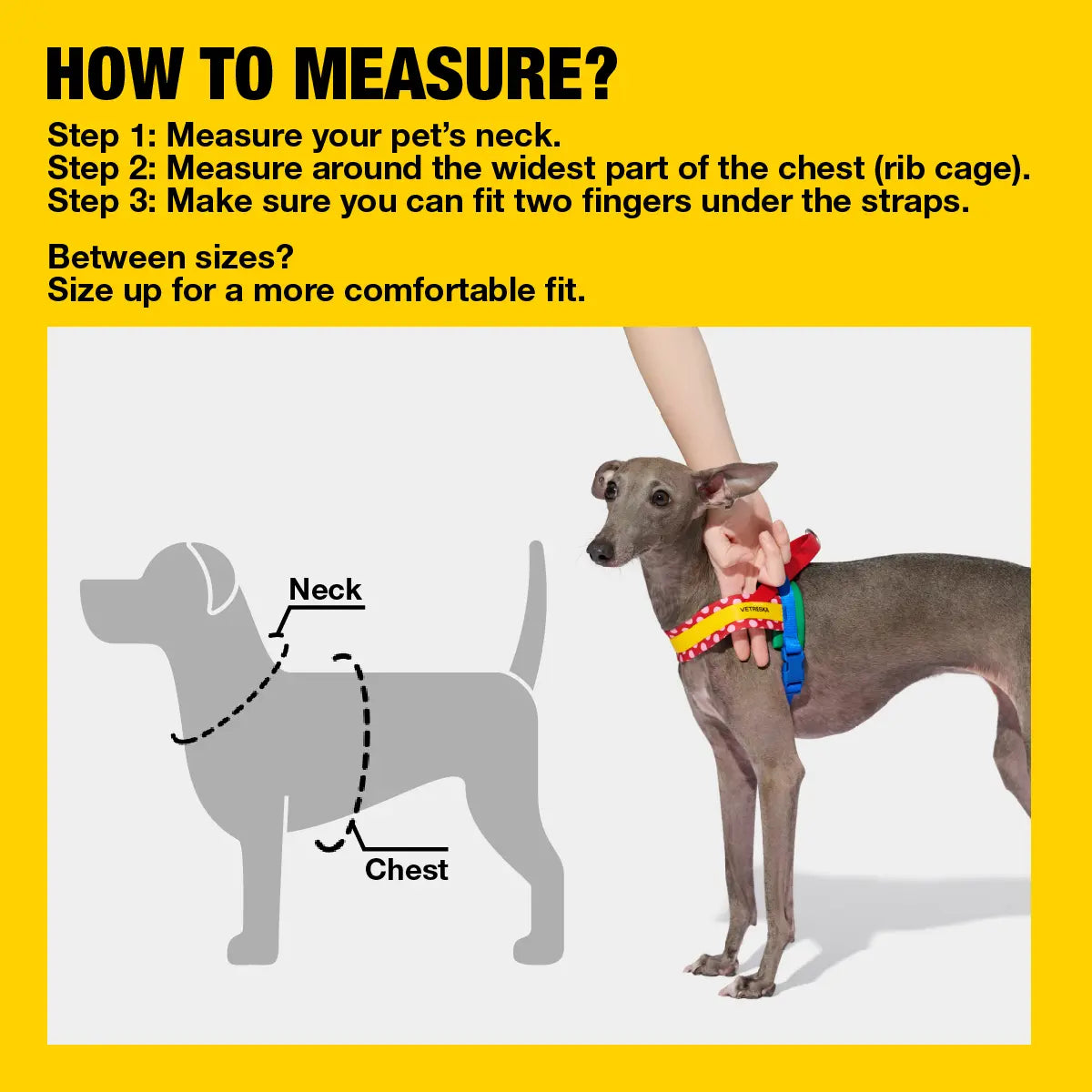 VETRESKA Moma Chroma 3 in 1 Walk Kit, Durable & Lightweight No Pull & No Choking Dog Harness with Easy-On Adjustable Fit, Anti-Twist Pet Lead Combo for Small-Medium Dogs (Collars & Harnesses & Leads)