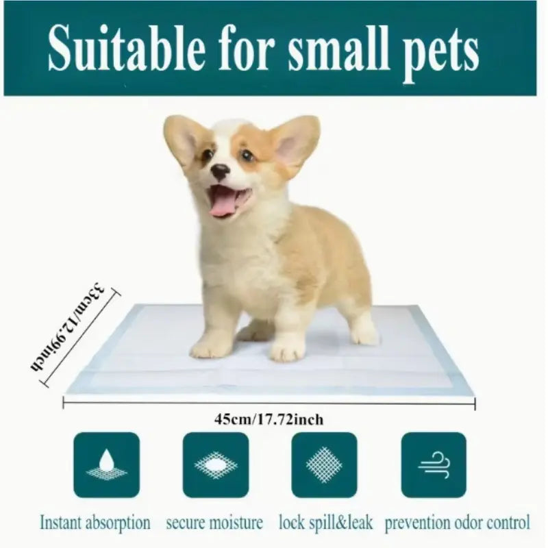 100 Count Premium Absorbent Disposable Dog Training Pads, Leak-Proof Pet Urine Pads for Puppies, Cats, and Small Animals - Ideal for Home and Cage Training