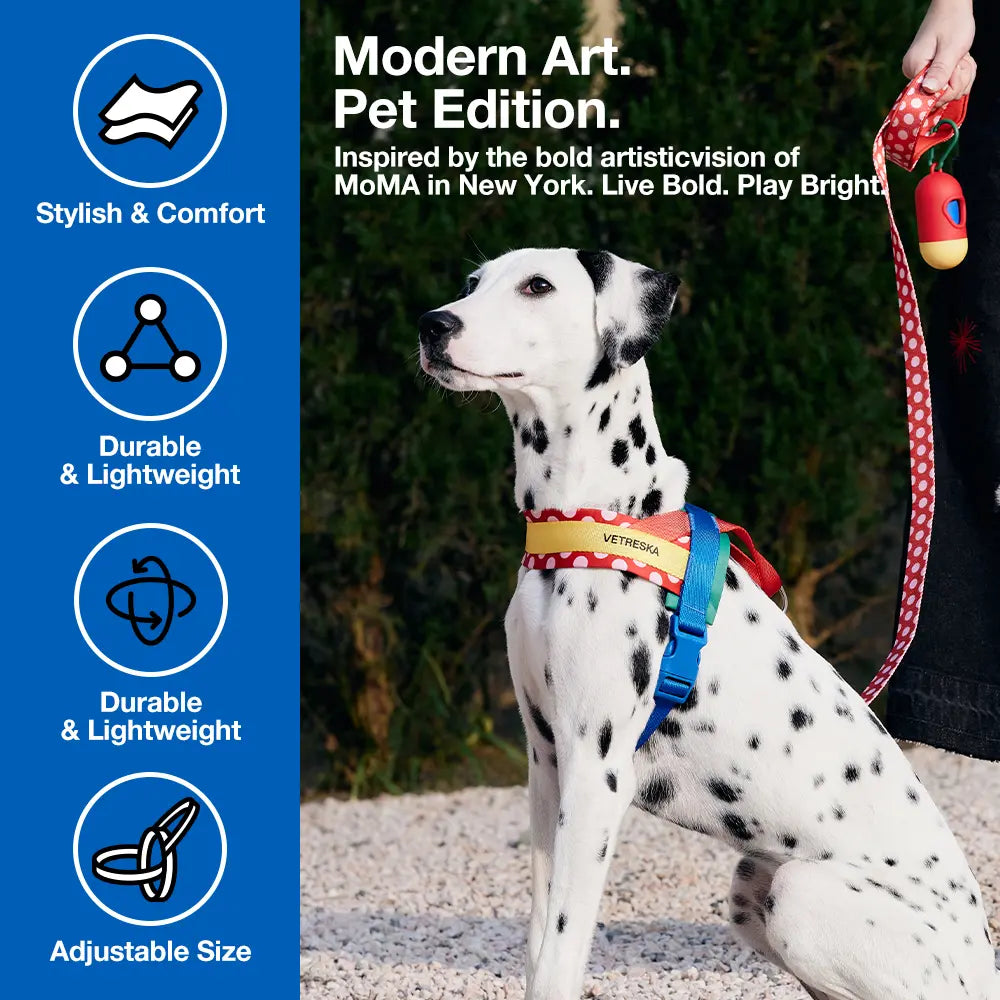 VETRESKA Moma Chroma 3 in 1 Walk Kit, Durable & Lightweight No Pull & No Choking Dog Harness with Easy-On Adjustable Fit, Anti-Twist Pet Lead Combo for Small-Medium Dogs (Collars & Harnesses & Leads)