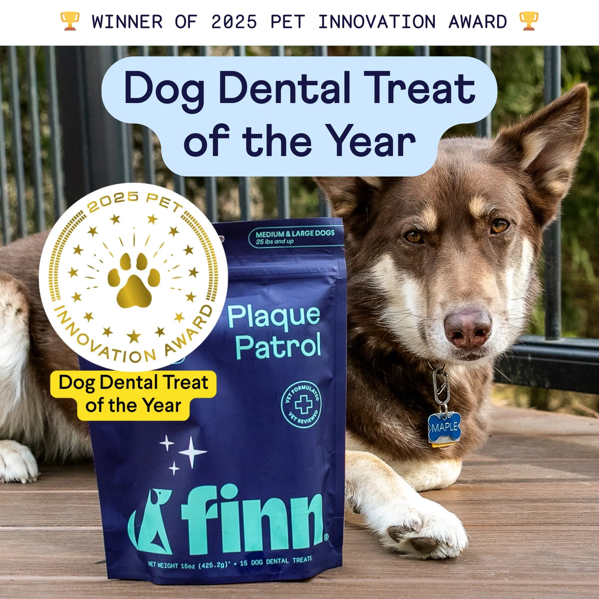 FINN Plaque Patrol Bundle – Award-Winning Dental Chews + Vet-Formulated Powder for Dogs | Made in the USA with 100% Natural Ingredients