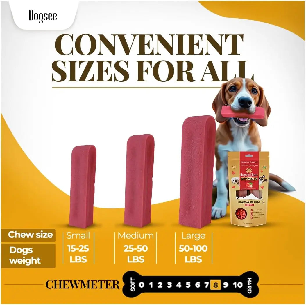 Dogsee Himalayan Sun-Dried Yak Cheese Canine Snacks with Real Strawberries - Large (4 Bars, 35-Day Supply), Gluten-Free, Grain & Cow Milk-Free, 60% Protein Immunity Booster, 36-Month Shelf Life, Dental Care Plaque Fighter, Boredom Reducer