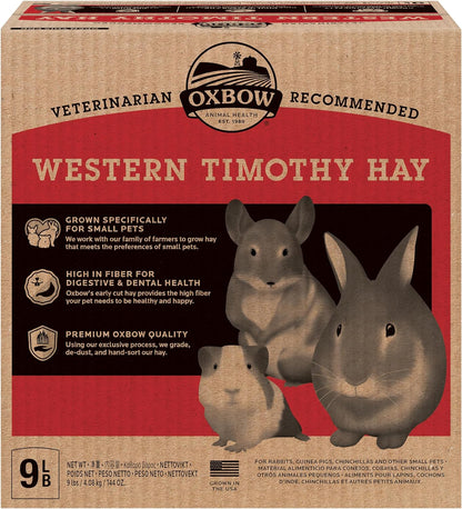Premium Western Timothy Hay for Small Pets - Natural Grass for Guinea Pigs, Bunnies, Chinchillas, and Hamsters - 9 lb Box