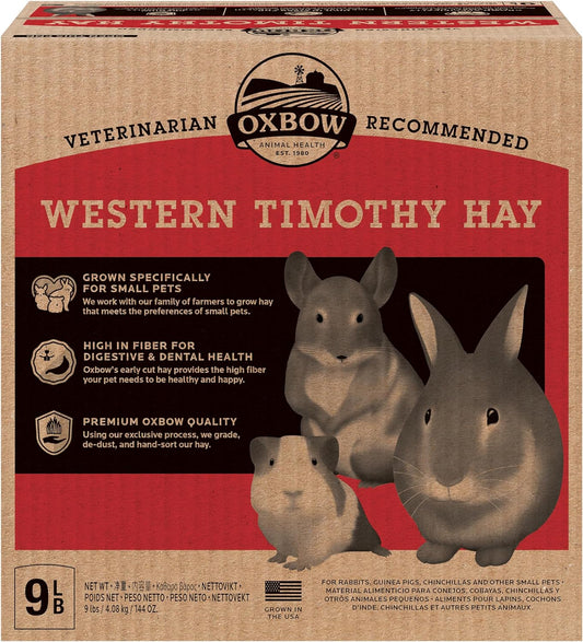 Premium Western Timothy Hay for Small Pets - Natural Grass for Guinea Pigs, Bunnies, Chinchillas, and Hamsters - 9 lb Box