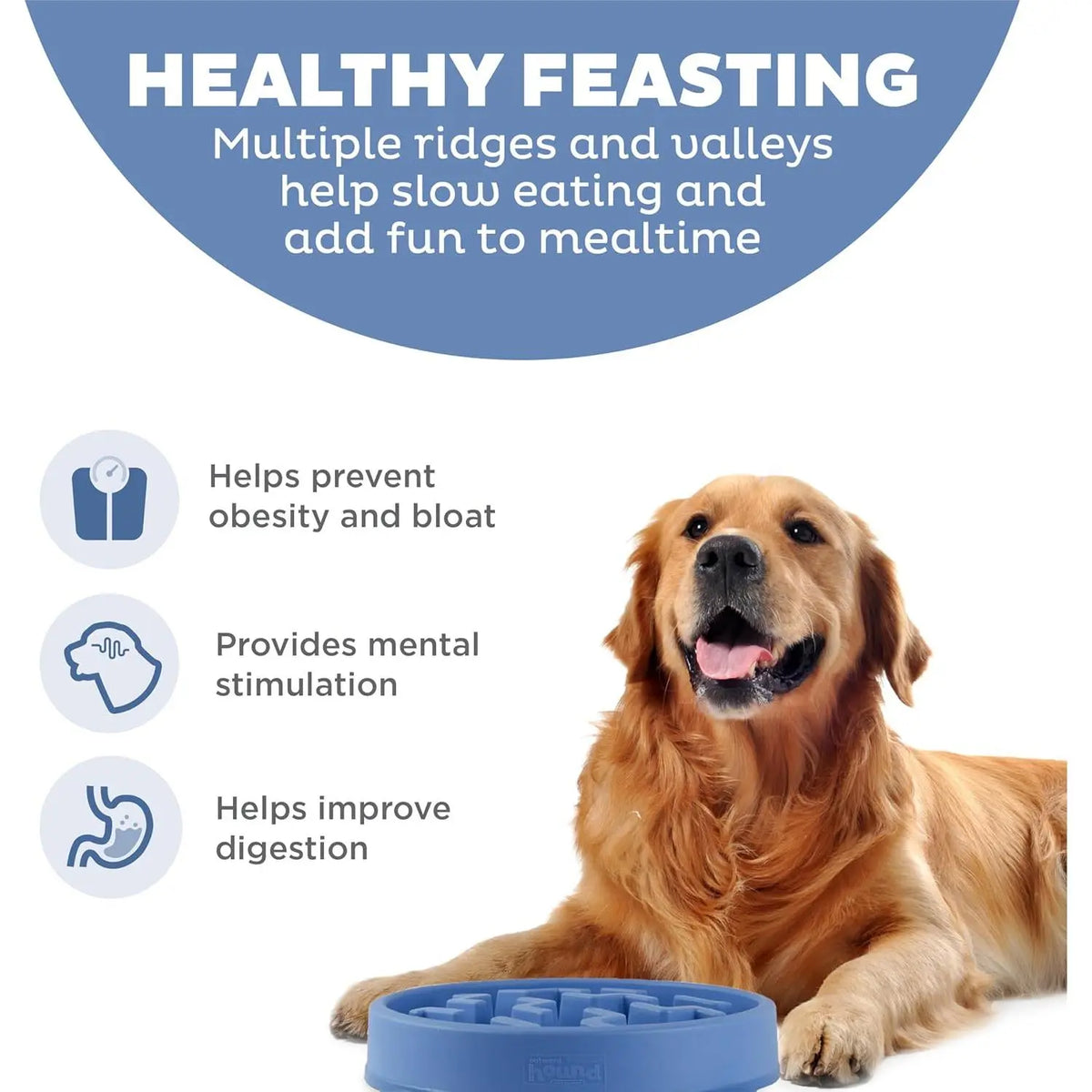 Outward Hound Fun Feeder Slo Bowl, Large Slow Feeder Dog Bowl Size Puzzle