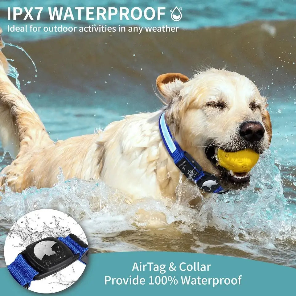 Smart Dog Collars Designed for Apple Air Tag Trackers