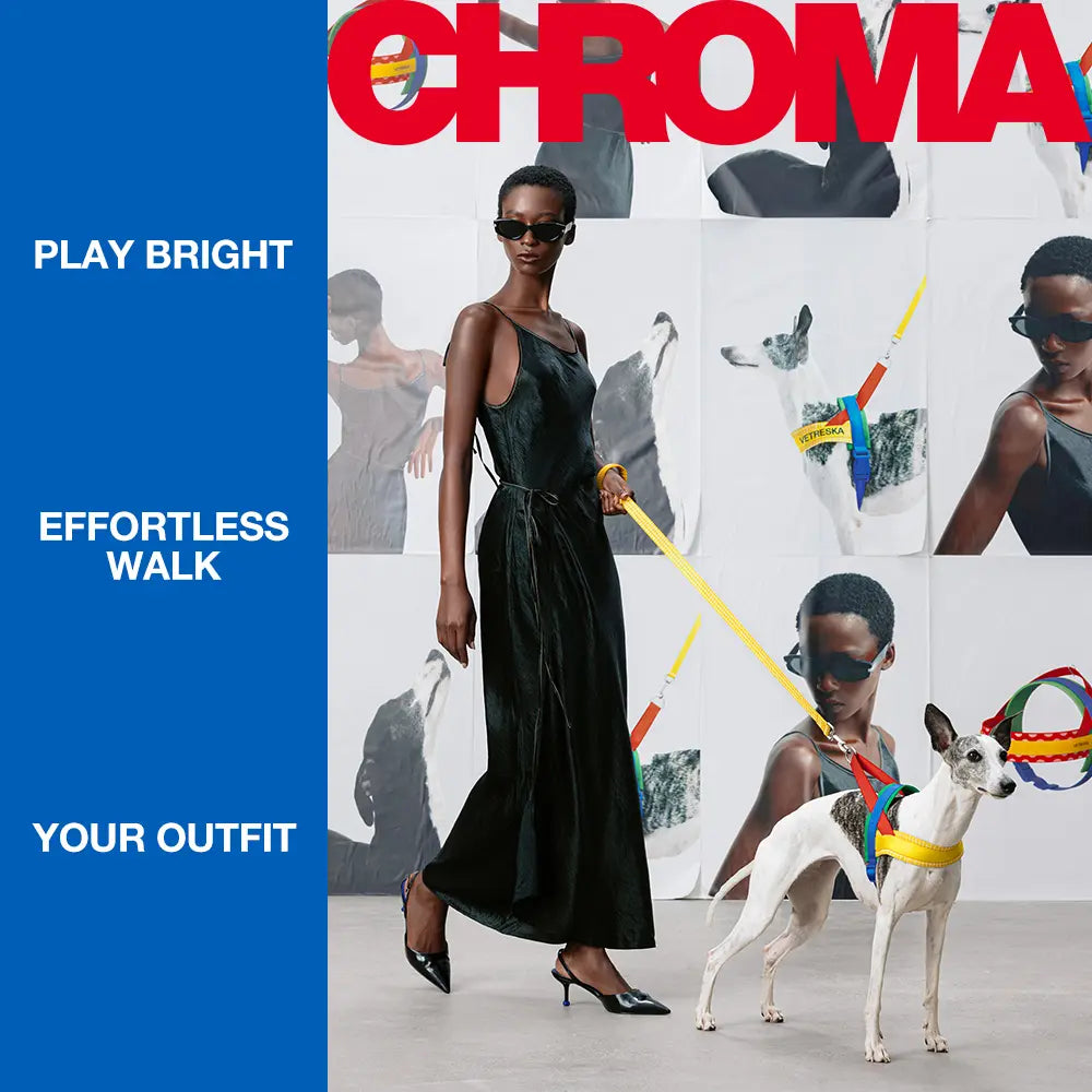 VETRESKA Moma Chroma 3 in 1 Walk Kit, Durable & Lightweight No Pull & No Choking Dog Harness with Easy-On Adjustable Fit, Anti-Twist Pet Lead Combo for Small-Medium Dogs (Collars & Harnesses & Leads)
