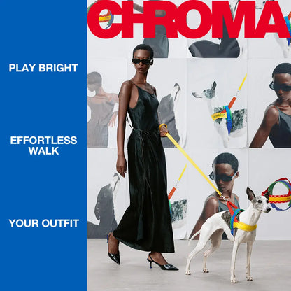 VETRESKA Moma Chroma 3 in 1 Walk Kit, Durable & Lightweight No Pull & No Choking Dog Harness with Easy-On Adjustable Fit, Anti-Twist Pet Lead Combo for Small-Medium Dogs (Collars & Harnesses & Leads)