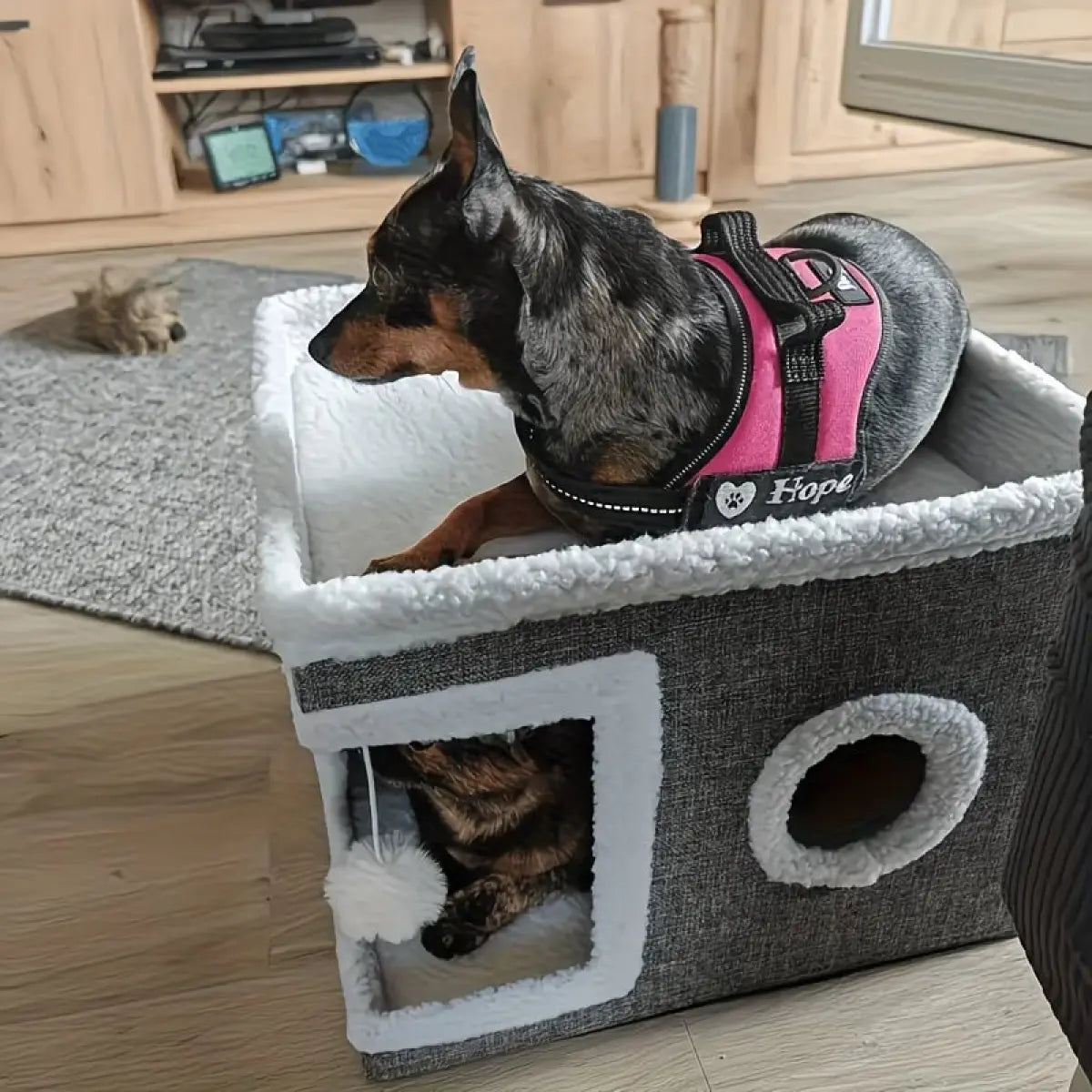 Polyester-Cotton Classic Modern Plain Foldable Cat House - 30Lbs Weight Capacity, Large Hole, round Windows, Fluffy Hanging Balls, Double-Sided Soft Cushions, All-Season Indoor Apartment Use,Sohochic