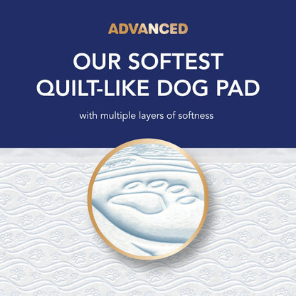 Scott Pet Guard Advanced Disposable Dog Training Leak Prevention Pads - Waterproof Absorbent, Quilted Core, 16-Hour Absorbency, Odor Control, Soft Design, Toss-After-Use for Medium/Large Dogs & Puppies, Waterproof Absorbent Pads