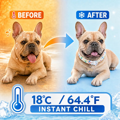 Reusable Pet Cooling Collar - TPU Advanced Phase Change Material 64°F Ice Ring for Small/Large Dogs, No Condensation Sweat-Free Neck Wrap, Fast Freeze Heat Relief for Summer Beach Trips, Vibrant Print Safe Collar