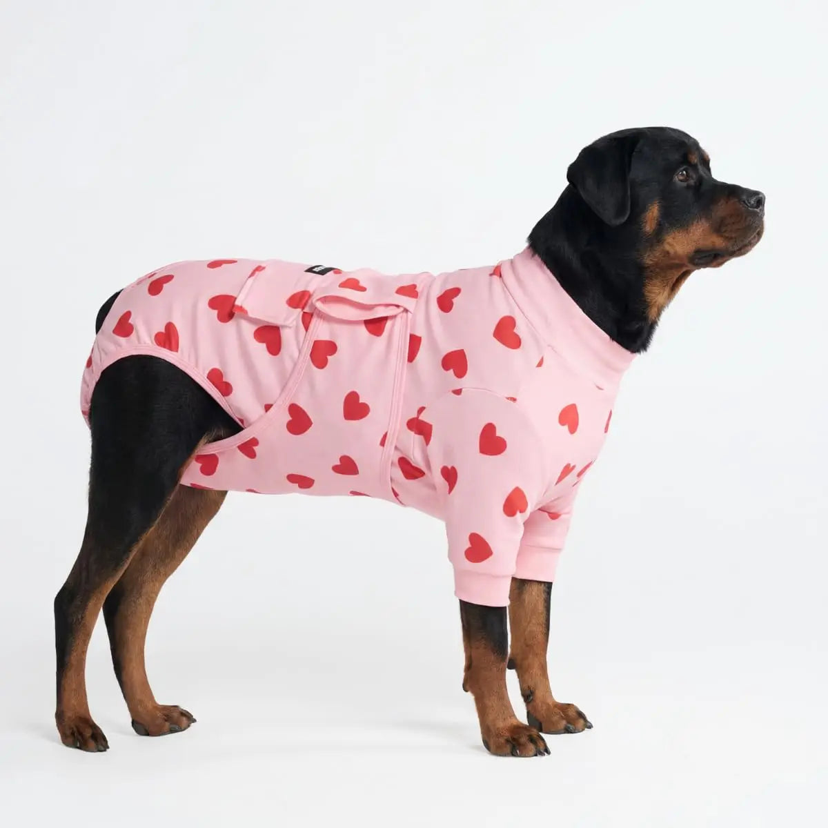 Spark Paws Dog Surgery Recovery Suit - Post-Surgery Recovery Onesie for Dogs, Anti-Lick Abdominal Wound Protector, Soft Cone Alternative for Spay and Neuter Recovery - Donuts - Size S