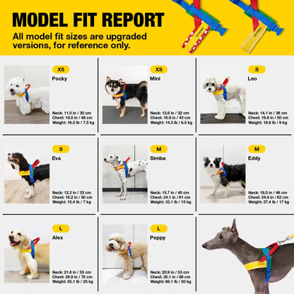 VETRESKA Moma Chroma 3 in 1 Walk Kit, Durable & Lightweight No Pull & No Choking Dog Harness with Easy-On Adjustable Fit, Anti-Twist Pet Lead Combo for Small-Medium Dogs (Collars & Harnesses & Leads)