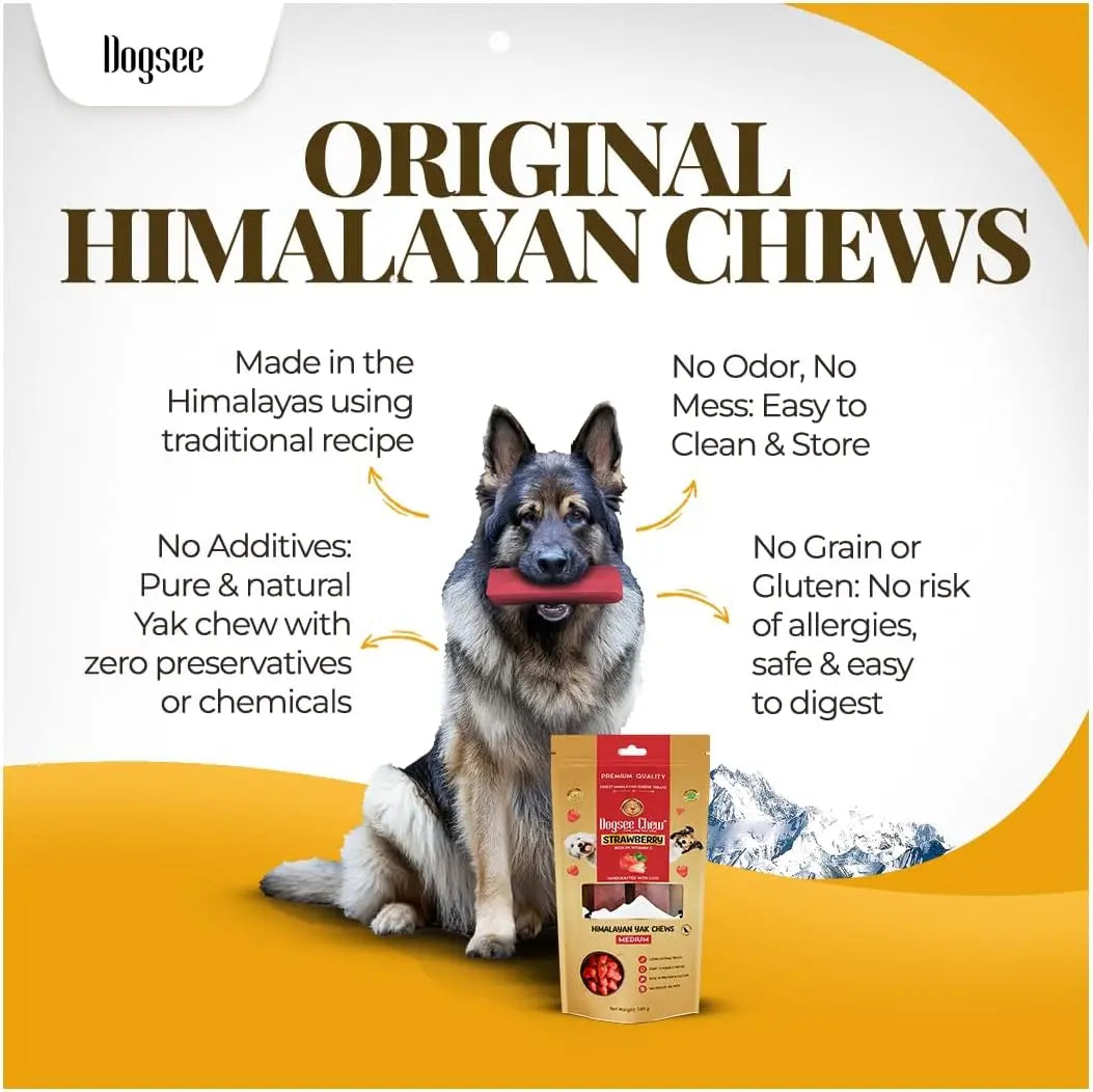 Dogsee Himalayan Sun-Dried Yak Cheese Canine Snacks with Real Strawberries - Large (4 Bars, 35-Day Supply), Gluten-Free, Grain & Cow Milk-Free, 60% Protein Immunity Booster, 36-Month Shelf Life, Dental Care Plaque Fighter, Boredom Reducer