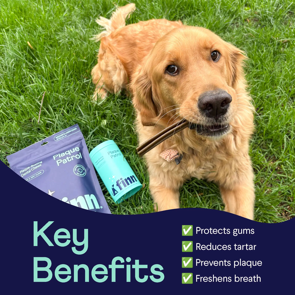 FINN Plaque Patrol Bundle – Award-Winning Dental Chews + Vet-Formulated Powder for Dogs | Made in the USA with 100% Natural Ingredients