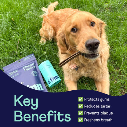 FINN Plaque Patrol Bundle – Award-Winning Dental Chews + Vet-Formulated Powder for Dogs | Made in the USA with 100% Natural Ingredients
