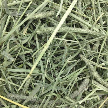 Premium Western Timothy Hay for Small Pets - Natural Grass for Guinea Pigs, Bunnies, Chinchillas, and Hamsters - 9 lb Box