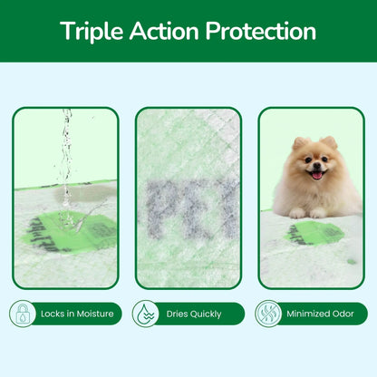 Pet N Pet 50-Count Puppy Training Pads - 48% USDA Certified Plant-Based, Unscented, Leak-Proof, Odor-Locking Absorbent Pads for Senior Dog Care