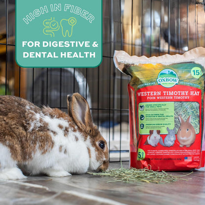 Premium Western Timothy Hay for Small Pets - Natural Grass for Guinea Pigs, Bunnies, Chinchillas, and Hamsters - 9 lb Box