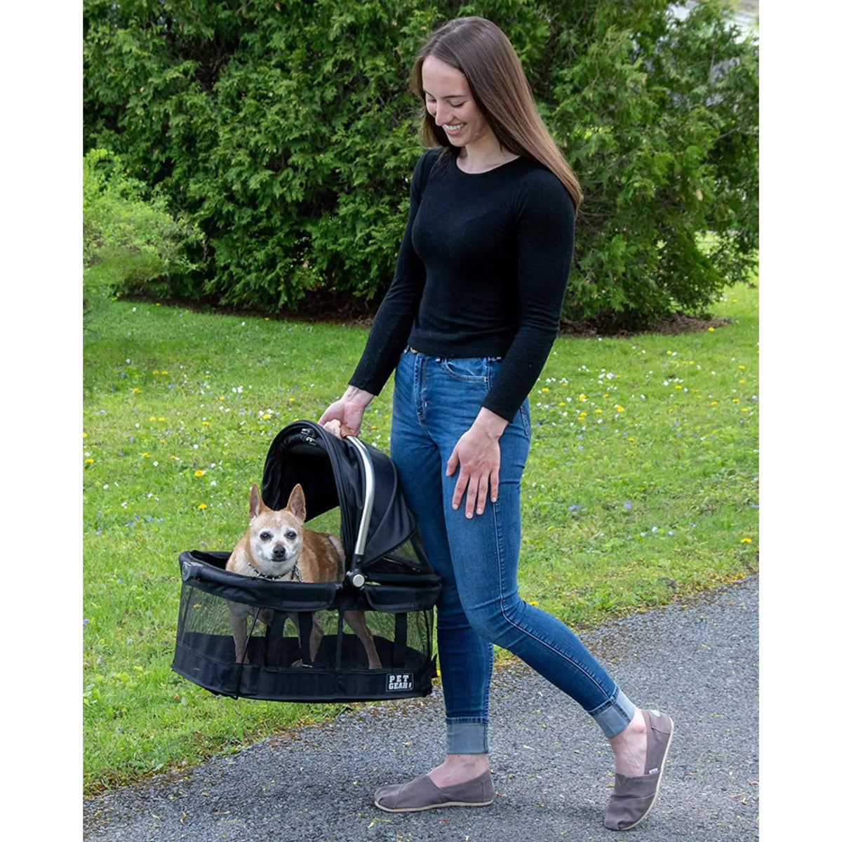 360-Degree View Pet Carrier - Black