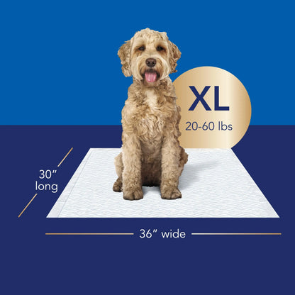 Scott Pet Guard Advanced Disposable Dog Training Leak Prevention Pads - Waterproof Absorbent, Quilted Core, 16-Hour Absorbency, Odor Control, Soft Design, Toss-After-Use for Medium/Large Dogs & Puppies, Waterproof Absorbent Pads