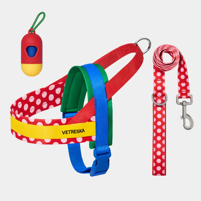VETRESKA Moma Chroma 3 in 1 Walk Kit, Durable & Lightweight No Pull & No Choking Dog Harness with Easy-On Adjustable Fit, Anti-Twist Pet Lead Combo for Small-Medium Dogs (Collars & Harnesses & Leads)