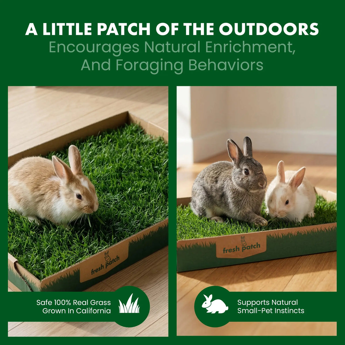 Rabbit Patch - Farm Fresh Grass Pad (Standard)