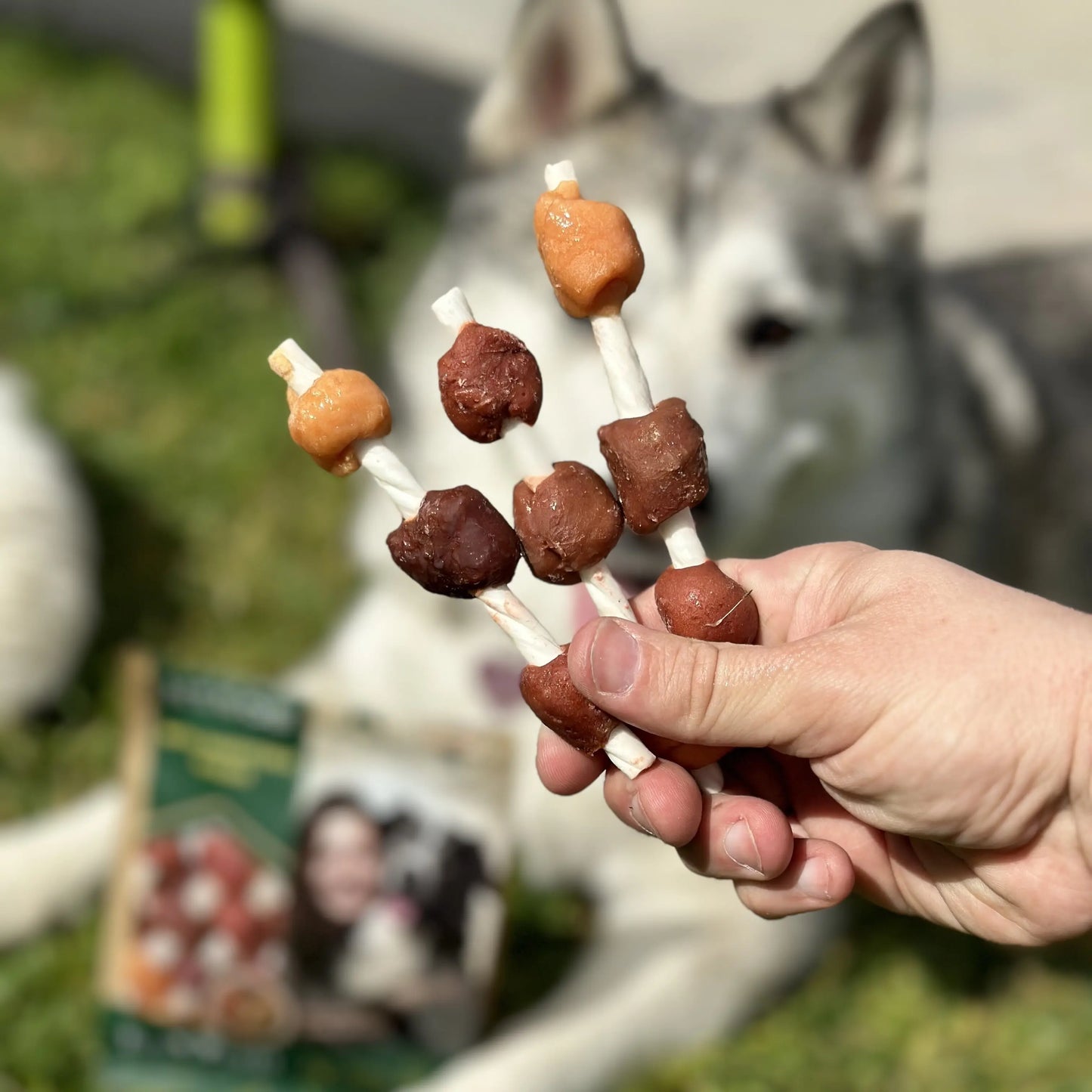 Beloved Pets Kabob Dog Treats - Meat-Based Duck & Chicken, Natural Flavor, Vegetable Glycerin-Infused, Gluten-Free, Stick Shape, Satisfying Bites, Puppy Chew Safe, Digestible, Great for Reward Training, Healthy Teeth & Shiny Coat Boost