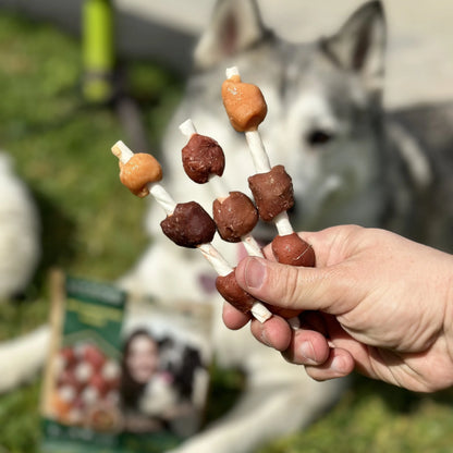 Beloved Pets Kabob Dog Treats - Meat-Based Duck & Chicken, Natural Flavor, Vegetable Glycerin-Infused, Gluten-Free, Stick Shape, Satisfying Bites, Puppy Chew Safe, Digestible, Great for Reward Training, Healthy Teeth & Shiny Coat Boost