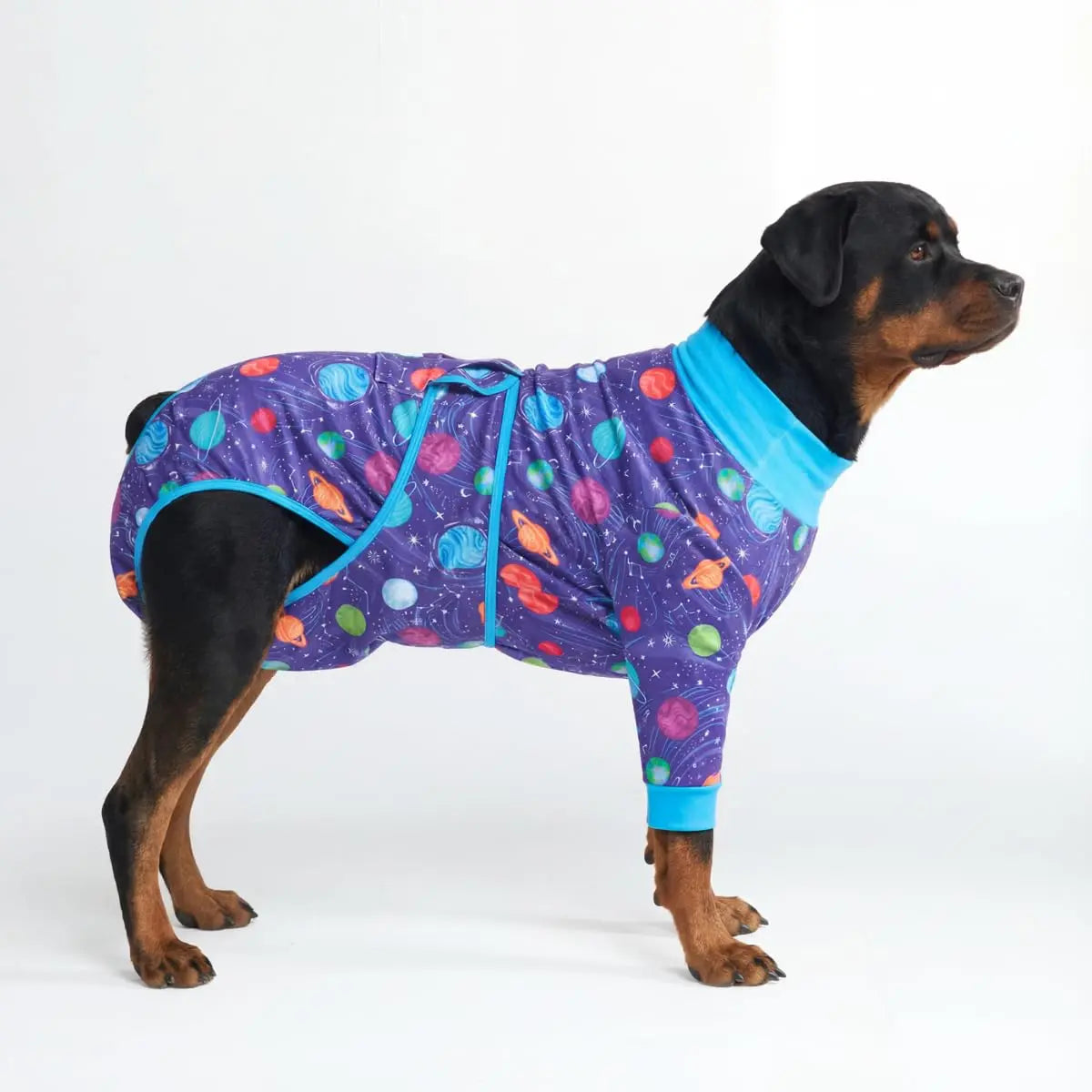 Spark Paws Dog Surgery Recovery Suit - Post-Surgery Recovery Onesie for Dogs, Anti-Lick Abdominal Wound Protector, Soft Cone Alternative for Spay and Neuter Recovery - Donuts - Size S