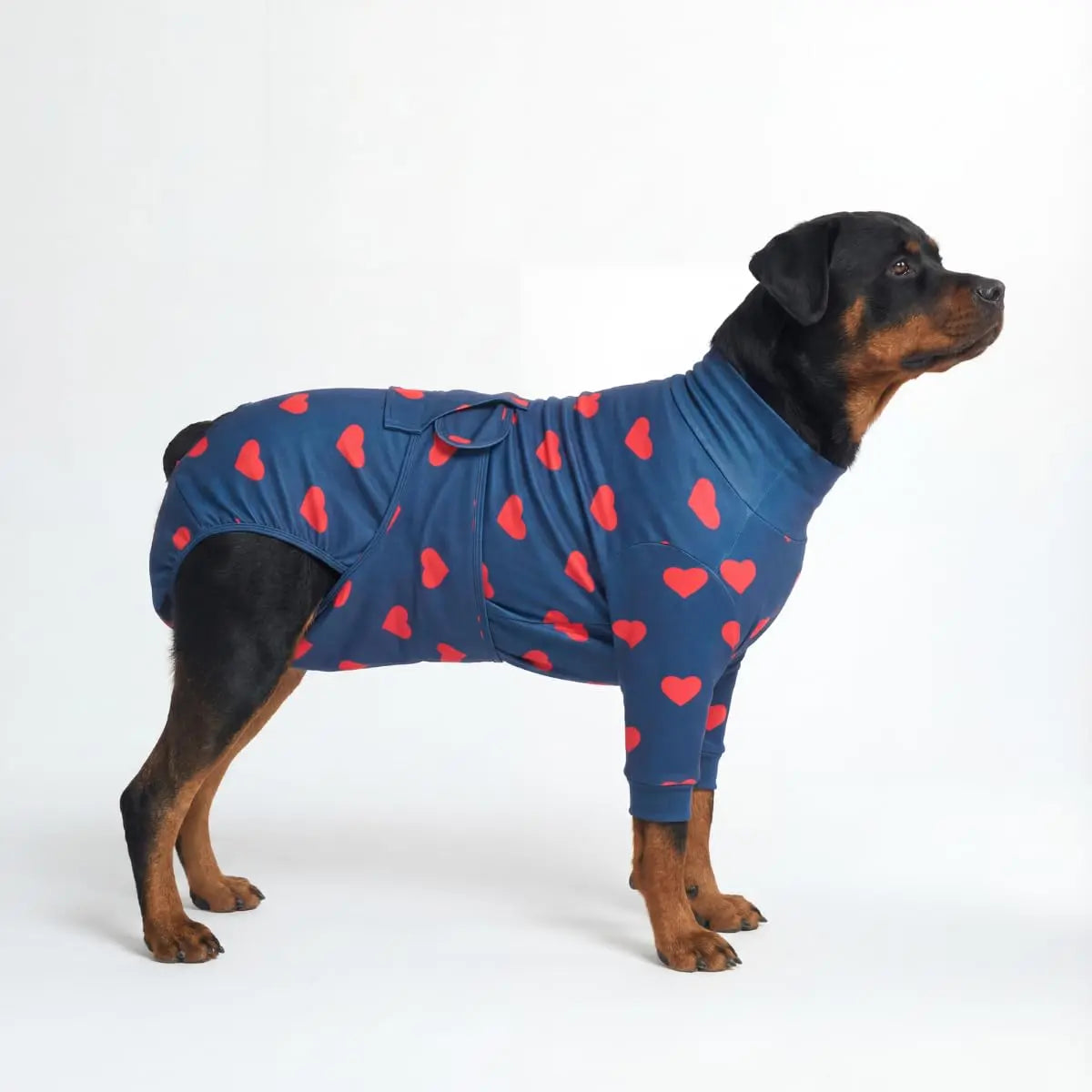 Spark Paws Dog Surgery Recovery Suit - Post-Surgery Recovery Onesie for Dogs, Anti-Lick Abdominal Wound Protector, Soft Cone Alternative for Spay and Neuter Recovery - Donuts - Size S