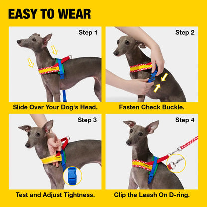 VETRESKA Moma Chroma 3 in 1 Walk Kit, Durable & Lightweight No Pull & No Choking Dog Harness with Easy-On Adjustable Fit, Anti-Twist Pet Lead Combo for Small-Medium Dogs (Collars & Harnesses & Leads)