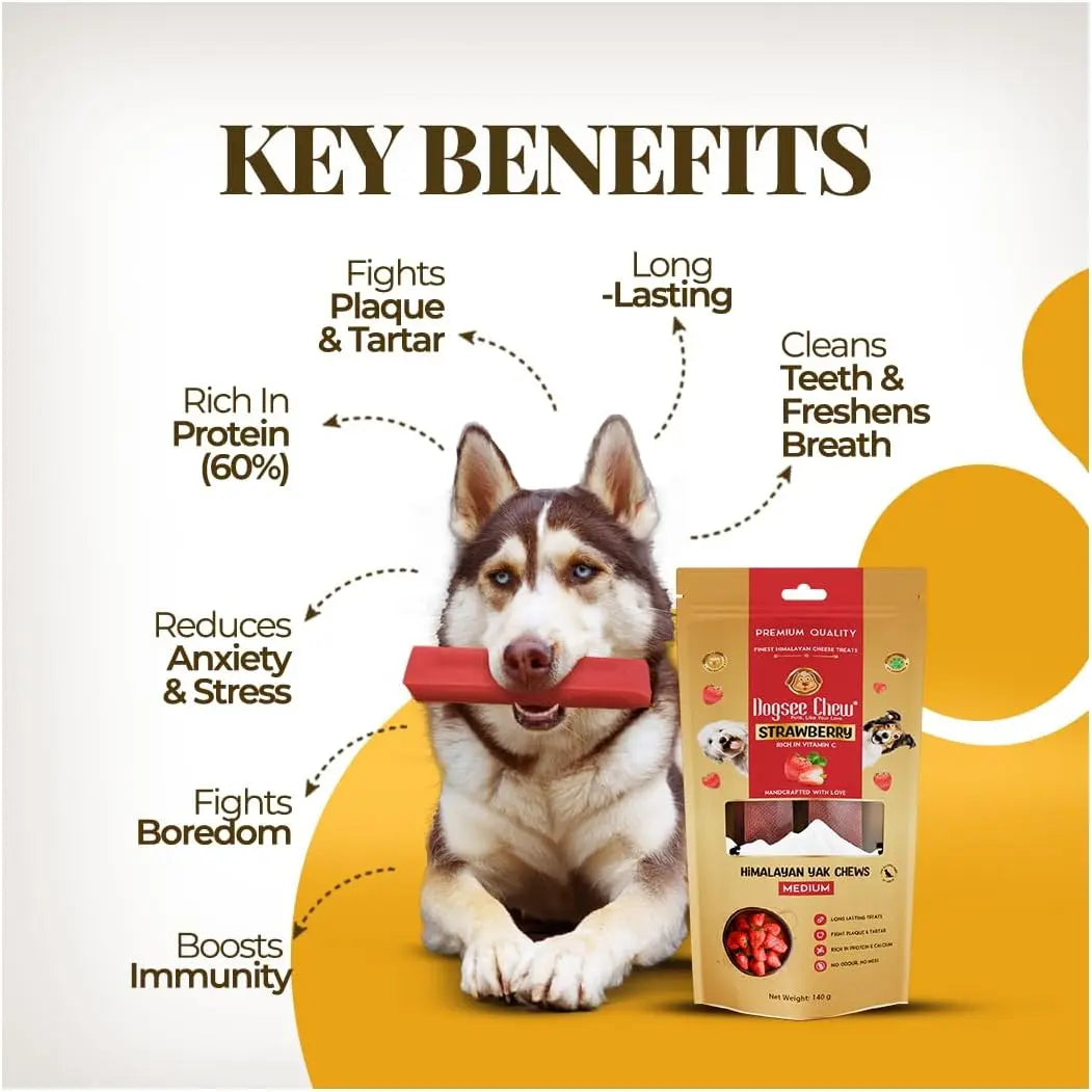 Dogsee Himalayan Sun-Dried Yak Cheese Canine Snacks with Real Strawberries - Large (4 Bars, 35-Day Supply), Gluten-Free, Grain & Cow Milk-Free, 60% Protein Immunity Booster, 36-Month Shelf Life, Dental Care Plaque Fighter, Boredom Reducer