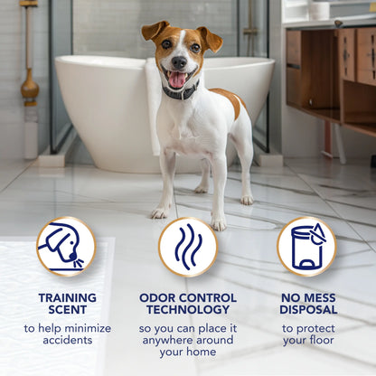 Scott Pet Guard Advanced Disposable Dog Training Leak Prevention Pads - Waterproof Absorbent, Quilted Core, 16-Hour Absorbency, Odor Control, Soft Design, Toss-After-Use for Medium/Large Dogs & Puppies, Waterproof Absorbent Pads