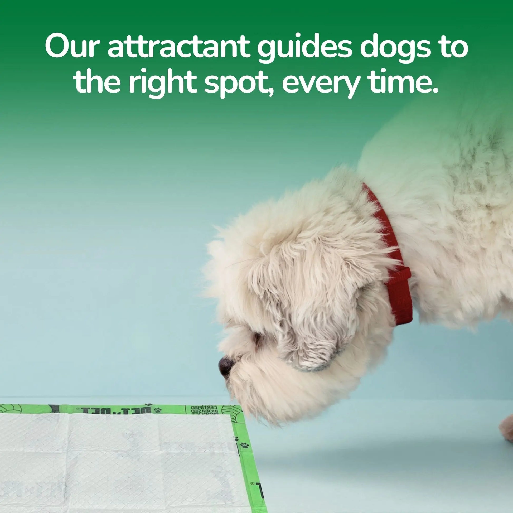 Pet N Pet 50-Count Puppy Training Pads - 48% USDA Certified Plant-Based, Unscented, Leak-Proof, Odor-Locking Absorbent Pads for Senior Dog Care
