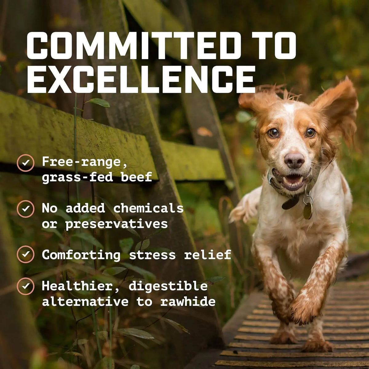 USA Smoked Chicken Neck Dog Chew Treats (12 Oz) - Human-Grade, 100% Natural, Water-Washed, High in Protein with Glucosamine and Chondroitin for Enrichment Chewing