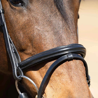 Jeffers Uniquely English "Windsor" Leather Dressage Bridle with Web Reins for Horses