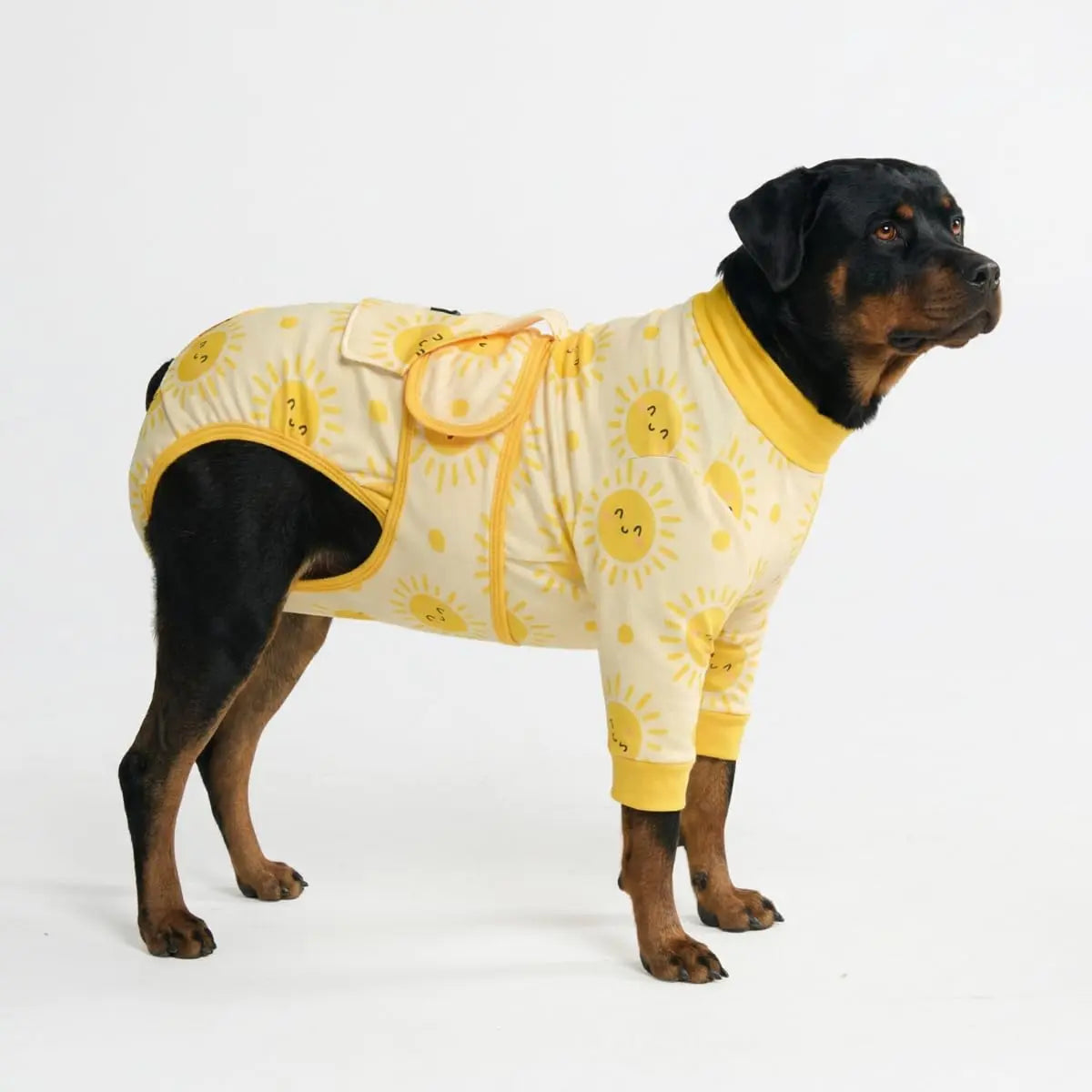 Spark Paws Dog Surgery Recovery Suit - Post-Surgery Recovery Onesie for Dogs, Anti-Lick Abdominal Wound Protector, Soft Cone Alternative for Spay and Neuter Recovery - Donuts - Size S