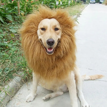 TESSVEYA Durable Hand-Sewn Pet Dog Wig - Elastic Design, Washable, Ideal for Halloween and Parties - Suitable for Small to Large Dogs - Perfect Pet Gift