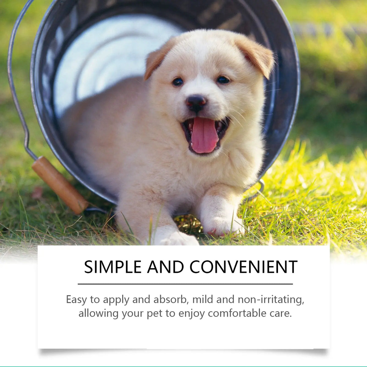 Pet Skin Ointment - Glycerin Base, Carbomer-Infused Dog & Cat Healthcare Cream for Deep Hydration, Itch Relief, Repair, Irritated Dry Areas, All Breeds, Easy to Use