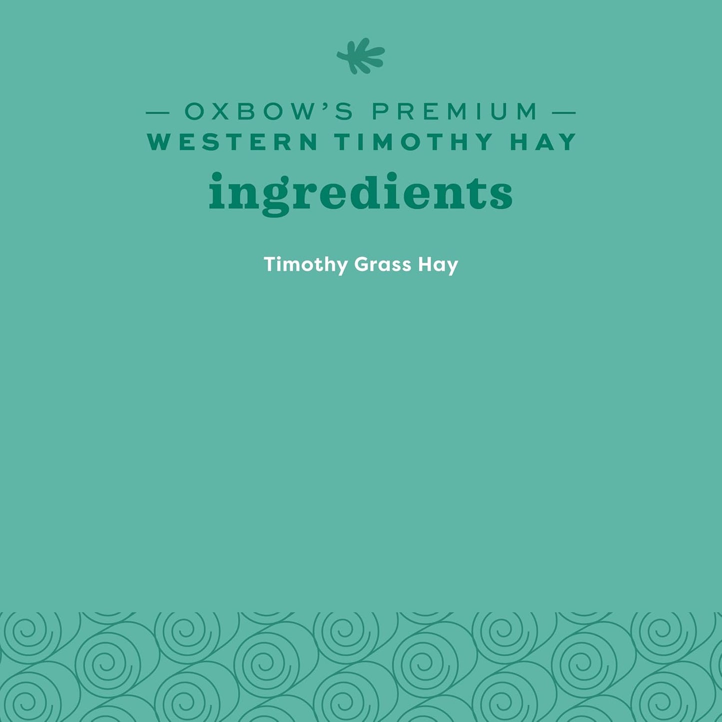 Premium Western Timothy Hay for Small Pets - Natural Grass for Guinea Pigs, Bunnies, Chinchillas, and Hamsters - 9 lb Box