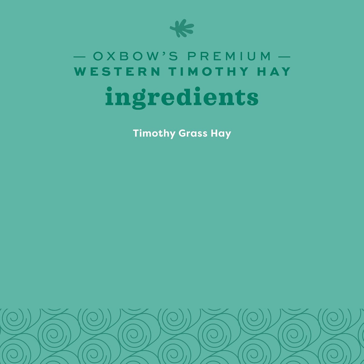Premium Western Timothy Hay for Small Pets - Natural Grass for Guinea Pigs, Bunnies, Chinchillas, and Hamsters - 9 lb Box