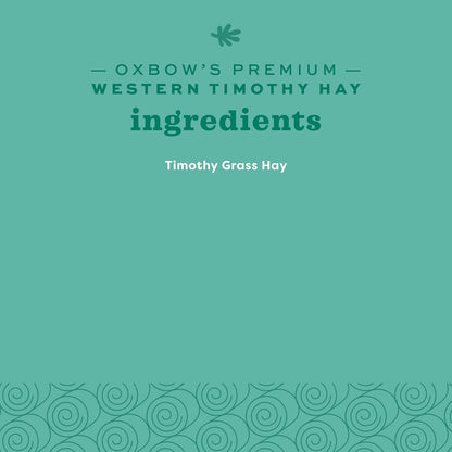 Premium Western Timothy Hay for Small Pets - Natural Grass for Guinea Pigs, Bunnies, Chinchillas, and Hamsters - 9 lb Box