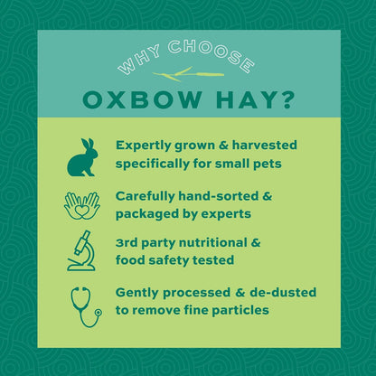 Premium Western Timothy Hay for Small Pets - Natural Grass for Guinea Pigs, Bunnies, Chinchillas, and Hamsters - 9 lb Box
