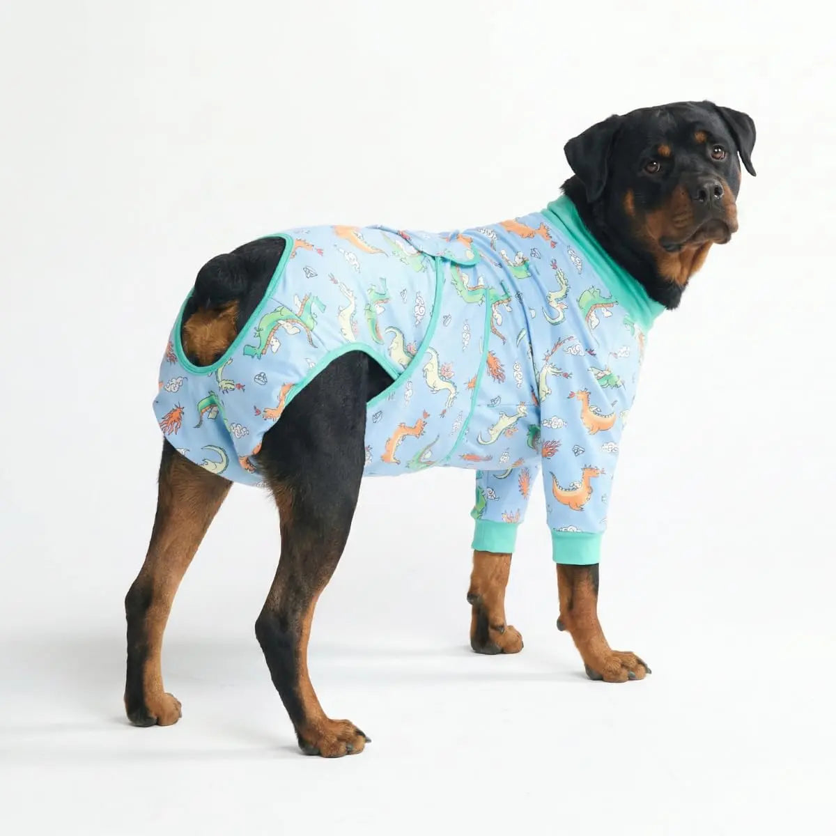 Spark Paws Dog Surgery Recovery Suit - Post-Surgery Recovery Onesie for Dogs, Anti-Lick Abdominal Wound Protector, Soft Cone Alternative for Spay and Neuter Recovery - Donuts - Size S