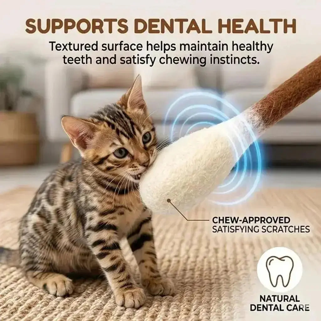 6 Pack Q-Tip Cat Toys for Indoor Cats, Soft Felt Cotton Swab Chew & Teething Sticks, Interactive Kitten Toy, Cat Enrichment, Boredom & Anxiety Relief, Dental Cleaning Toy, Bite Resistant Plush Cat Kicker, Pet Lovers Gift, Daily Cat Entertainment